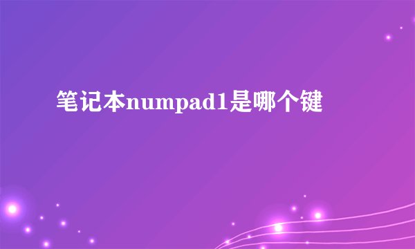 笔记本numpad1是哪个键