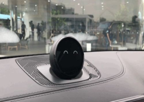 nomi是什么意思啊