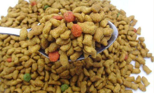 大家都给猫咪吃什么牌子的猫粮?