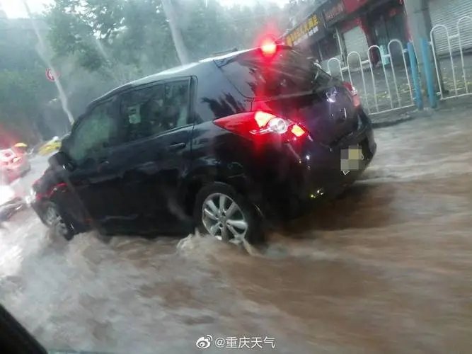 重庆暴雨袭城:大蛇被冲到马路,暴雨给市民造成了哪些影响?