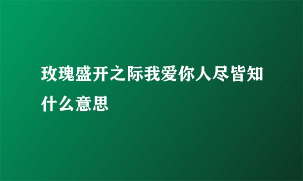 玫瑰盛开之际我爱你人尽皆知什么意思
