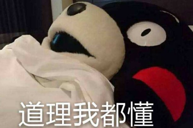 网络用语456什么意思？