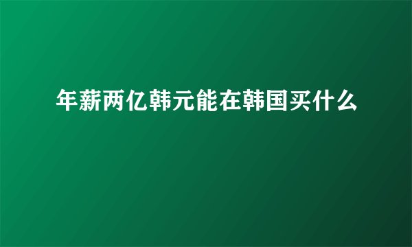 年薪两亿韩元能在韩国买什么