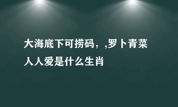大海底下可捞码，,罗卜青菜人人爱是什么生肖