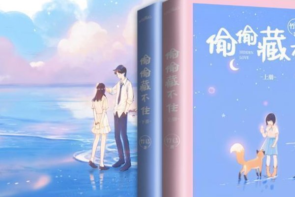 《偷偷藏不住》是什么时候出版的小说？