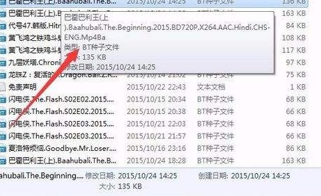 bt文件格式是什么