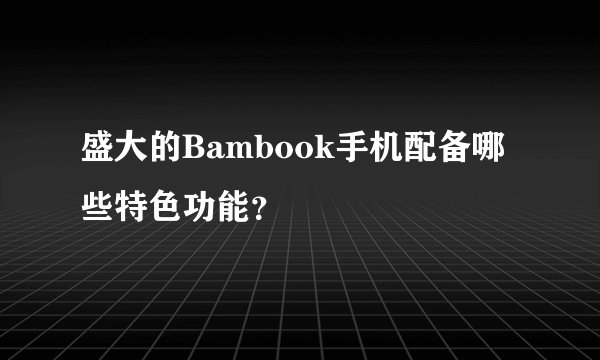 盛大的Bambook手机配备哪些特色功能？