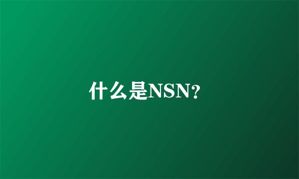 什么是NSN？