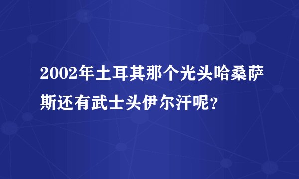 2002年土耳其那个光头哈桑萨斯还有武士头伊尔汗呢？