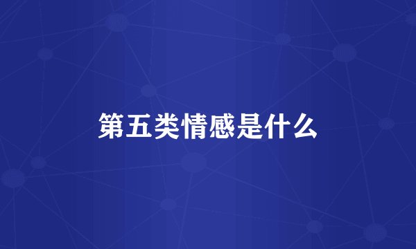 第五类情感是什么