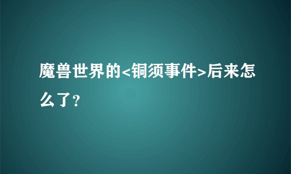 魔兽世界的<铜须事件>后来怎么了？