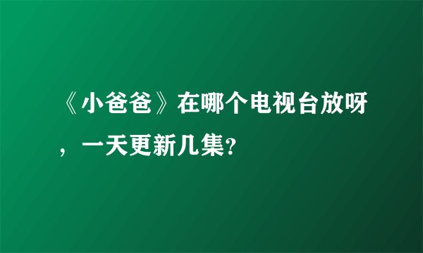 《小爸爸》在哪个电视台放呀，一天更新几集？