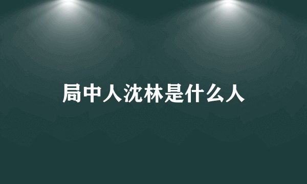 局中人沈林是什么人