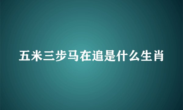 五米三步马在追是什么生肖