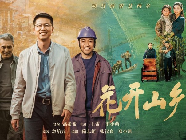 花开山乡剧情介绍