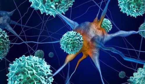 中国两周出现10种奥密克戎变异株，它们都来自哪里？