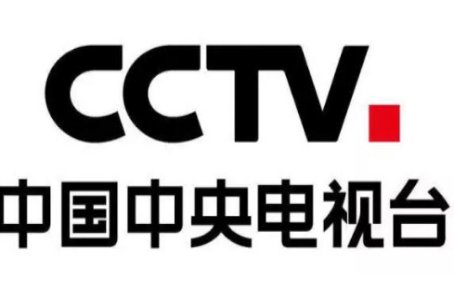 央视是怎样评价半只狐狸的