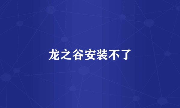 龙之谷安装不了
