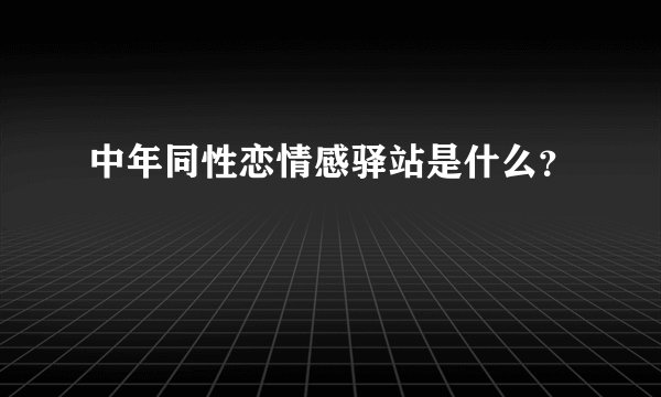 中年同性恋情感驿站是什么？