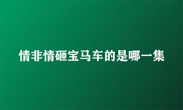 情非情砸宝马车的是哪一集
