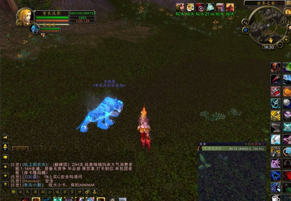 WOW中的白色老虎BB在哪抓？