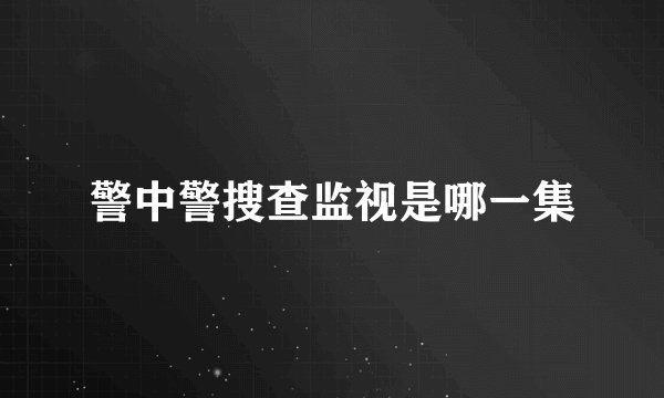 警中警搜查监视是哪一集
