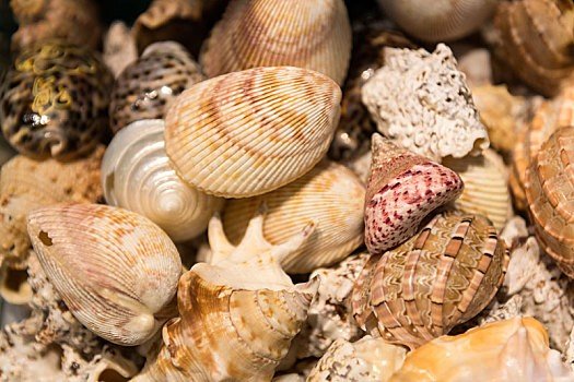 艾青最经典的10首诗