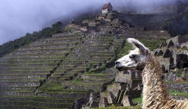 景区封锁7个月只接待1名游客,该游客有何“特别”?