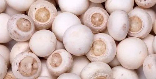 口蘑中的口字源于地名还是什么