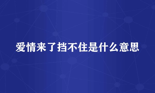 爱情来了挡不住是什么意思