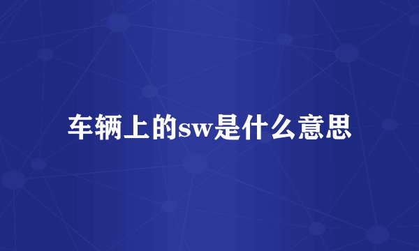 车辆上的sw是什么意思