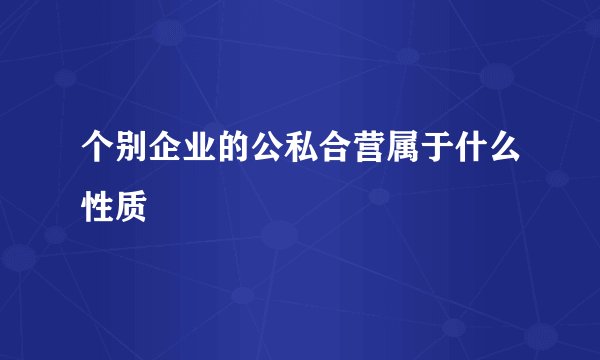 个别企业的公私合营属于什么性质