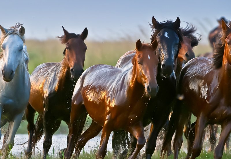 形容气势大的四字词语