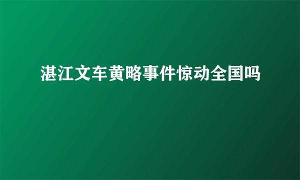 湛江文车黄略事件惊动全国吗