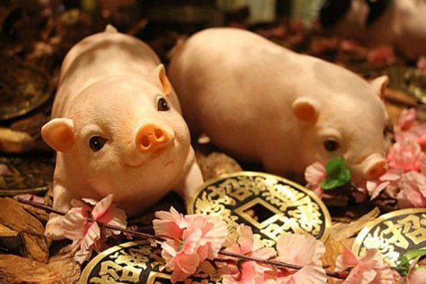 晏安鸩毒打一准确生肖