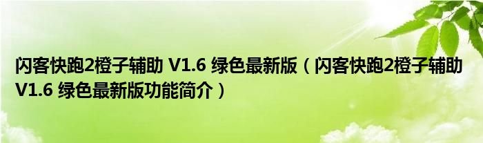 闪客快跑2橙子辅助V16绿色最新版闪客快跑2橙子辅助V16绿色最新版功能简介