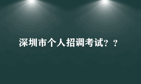深圳市个人招调考试？？