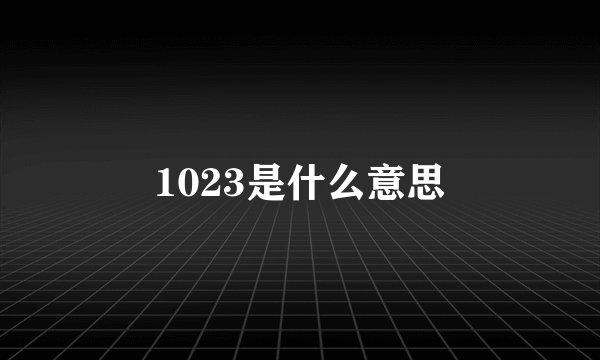1023是什么意思