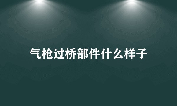 气枪过桥部件什么样子