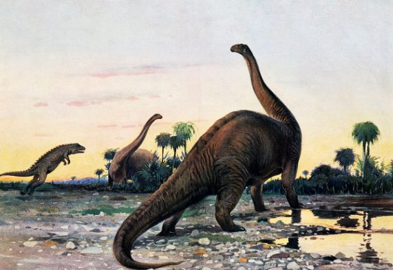 恐龙都有哪些种类？