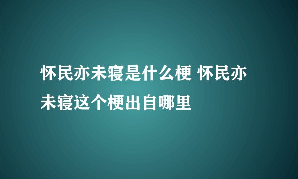 怀民亦未寝是什么梗 怀民亦未寝这个梗出自哪里
