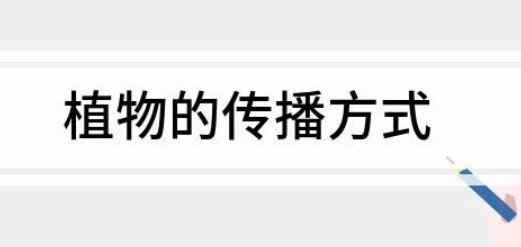 植物妈妈有办法仿写一段话