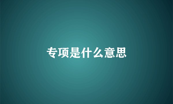 专项是什么意思