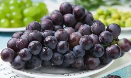 上坟时有三样东西不要上