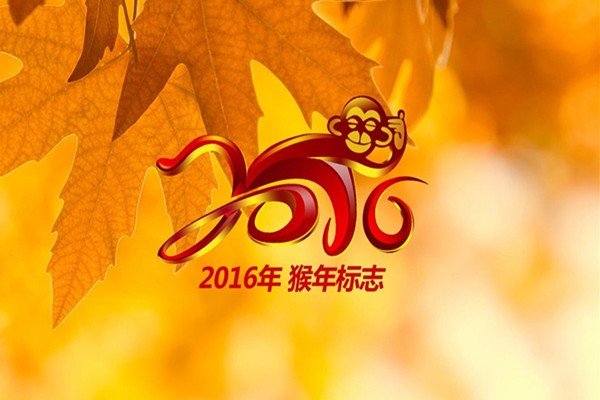 2016年是什么年