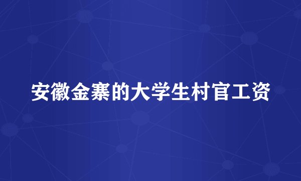安徽金寨的大学生村官工资