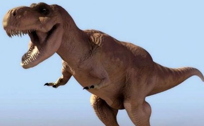 恐龙有哪些种类和名字