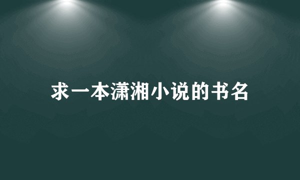 求一本潇湘小说的书名