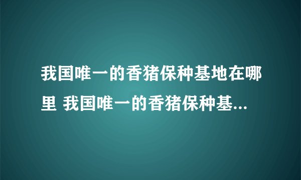 我国唯一的香猪保种基地在哪里 我国唯一的香猪保种基地在什么地方