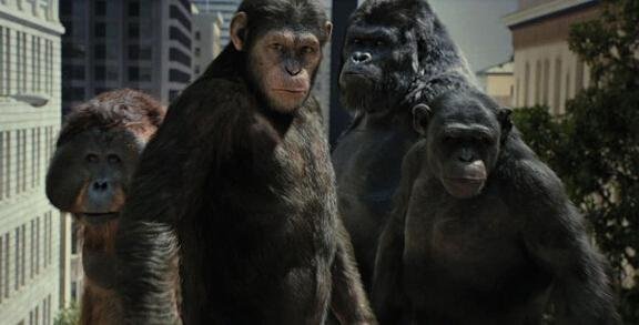 剥皮行者的影片评价